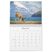 2014 12-monatiger Kalender in Kanada Scenics (Mär 2027)