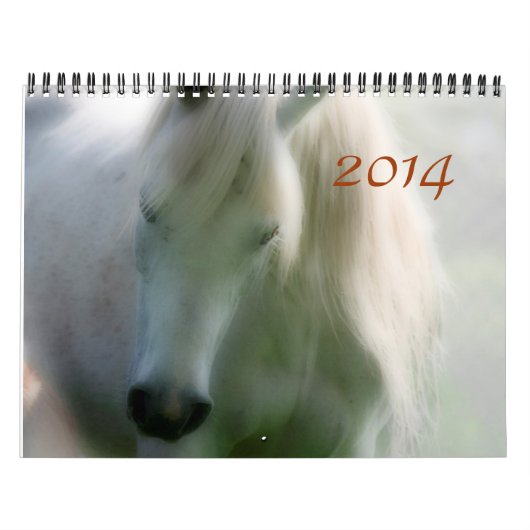 2014 Araber - Freude am Leben Kalender (Titelbild)
