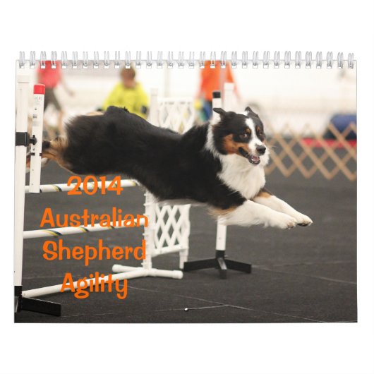 2014 Australier-Schäfer-Agility-Kalender Kalender (Titelbild)