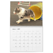 2014 Australier-Schäfer-Agility-Kalender Kalender (Mär 2027)