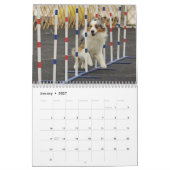 2014 Australier-Schäfer-Agility-Kalender Kalender (Jan 2027)