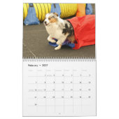 2014 Australier-Schäfer-Agility-Kalender Kalender (Feb 2027)