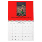 2014 Bauchtanz-Foto-Kalender Kalender (Mär 2027)