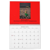 2014 Bauchtanz-Foto-Kalender Kalender (Mär 2026)