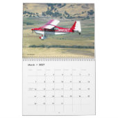 2014 Champion Citabria Decathlon-Kalender Kalender (Mär 2027)