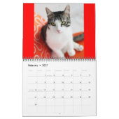 2014 Corky der Wiegen-Katzen-Kalender Kalender (Feb 2027)