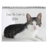 2014 Corky der Wiegen-Katzen-Kalender Kalender (Titelbild)