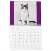 2014 Corky der Wiegen-Katzen-Kalender Kalender (Mär 2026)
