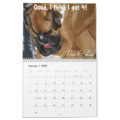 2014 doof Boxer-Kalender Kalender (Jan 2027)