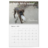 2014 doof Boxer-Kalender Kalender (Feb 2027)