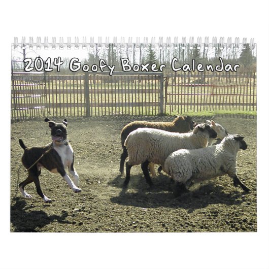 2014 doof Boxer-Kalender Kalender (Titelbild)