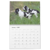 2014 englischer Springerspaniel-Welpen Kalender (Jan 2027)