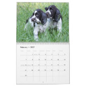 2014 englischer Springerspaniel-Welpen Kalender (Feb 2027)