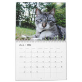 2014 Flitter-Kalender Kalender (Mär 2026)