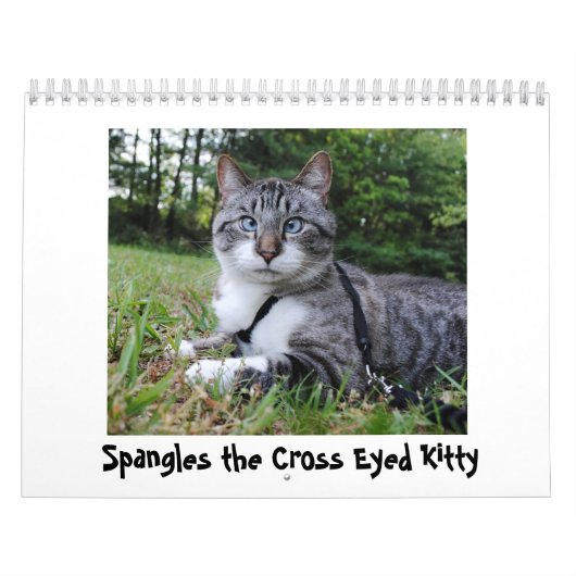 2014 Flitter-Kalender Kalender (Titelbild)