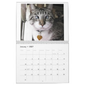 2014 Flitter-Kalender Kalender (Jan 2027)