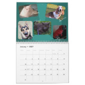 2014 froher Haustier-Kalender Kalender (Jan 2027)