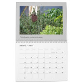 2014 Garten-Kalender Kalender (Jan 2027)