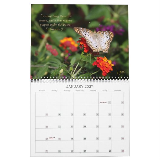 2014 Inspirations-Kalender - Schmetterlinge Kalender (Jan 2027)