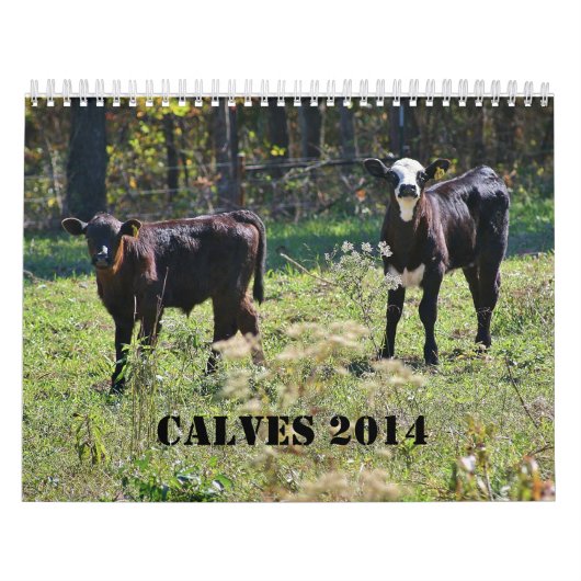 2014 Kälber Kalender (Titelbild)