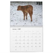 2014 Kälber Kalender (Jan 2027)