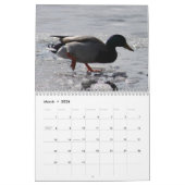 2014 Kalender-Enten Kalender (Mär 2026)