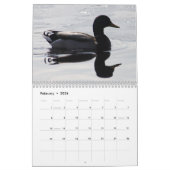 2014 Kalender-Enten Kalender (Feb 2026)