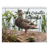 2014 Kalender-Enten Kalender (Titelbild)