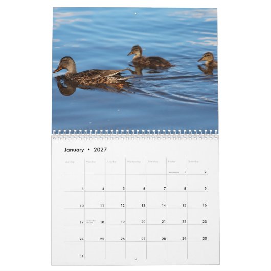 2014 Kalender-Enten Kalender (Jan 2027)