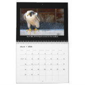 2014 Kalender - Hauptnocken-Bilder (Mär 2026)