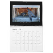 2014 Kalender - Hauptnocken-Bilder (Feb 2026)