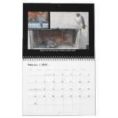2014 Kalender - Hauptnocken-Collagen (Feb 2027)