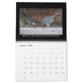 2014 Kalender - Hauptnocken-Collagen (Jan 2027)