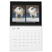 2014 Kalender - Hauptnocken-Collagen (Mär 2027)