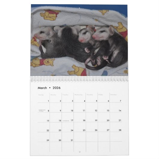 2014 Kalender - Opossum-Babys (Mär 2026)