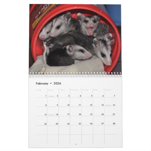 2014 Kalender - Opossum-Babys (Feb 2026)