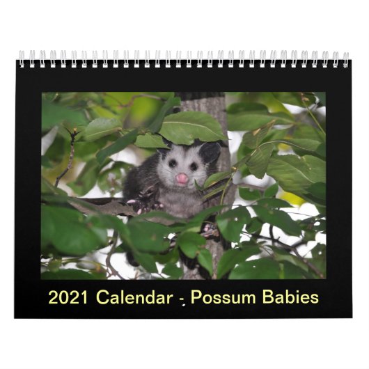 2014 Kalender - Opossum-Babys (Titelbild)