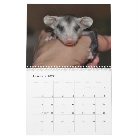 2014 Kalender - Opossum-Babys (Jan 2027)