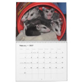 2014 Kalender - Opossum-Babys (Feb 2027)