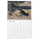 2014 Kuh-Kalender Kalender (Mär 2027)