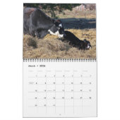 2014 Kuh-Kalender Kalender (Mär 2026)