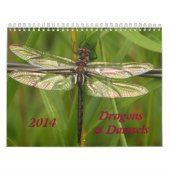 2014 Libellen-und Damselflies-Kalender Kalender (Titelbild)