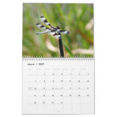 2014 Libellen-und Damselflies-Kalender Kalender (Mär 2027)