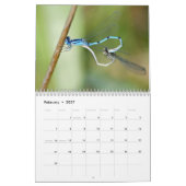 2014 Libellen-und Damselflies-Kalender Kalender (Feb 2027)