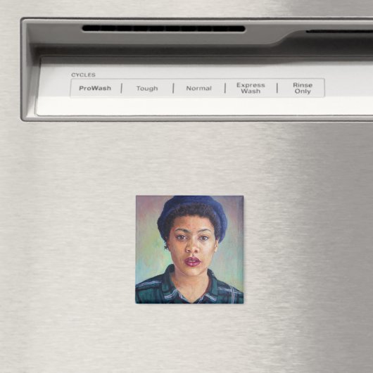 2014 MAGNET (In Situ (Geschirrspüler))