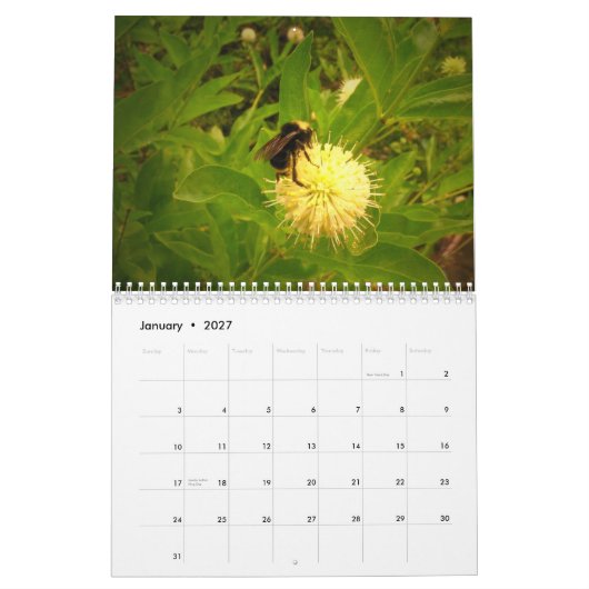 2014 mein Garten Kalender (Jan 2027)