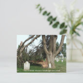 2014 Platteville, Tornadoes Memorabilia Postcard Postkarte (Stehend Vorderseite)