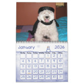 2014 portugiesische Wasser-Hundepersönlichkeiten Kalender (Jan 2026)