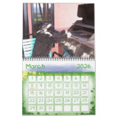 2014 portugiesische Wasser-Hundepersönlichkeiten Kalender (Mär 2026)