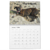 2014 Schnitzer-Truppe-Boxer-Kalender Kalender (Jan 2026)
